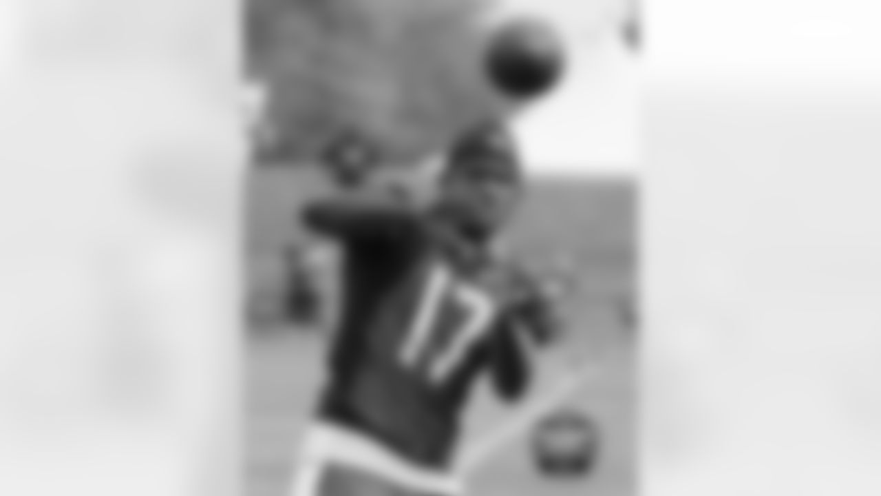 WR Alshon Jeffery