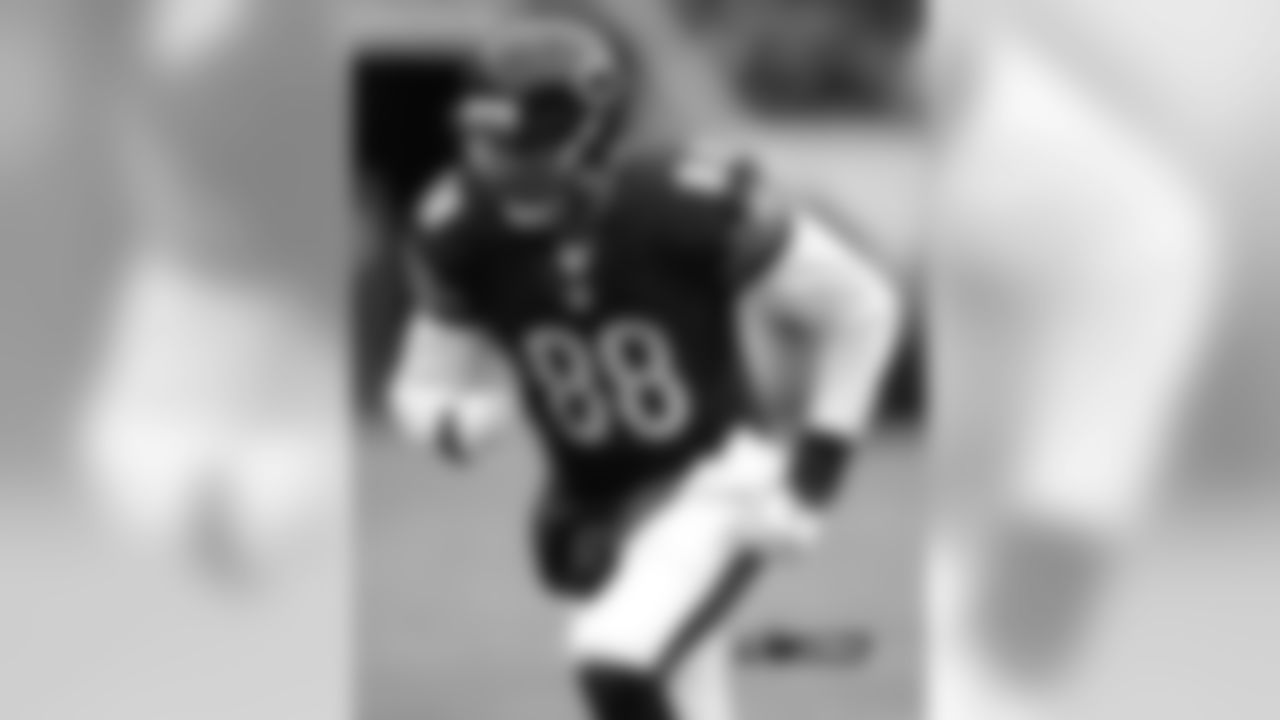 TE Rob Housler