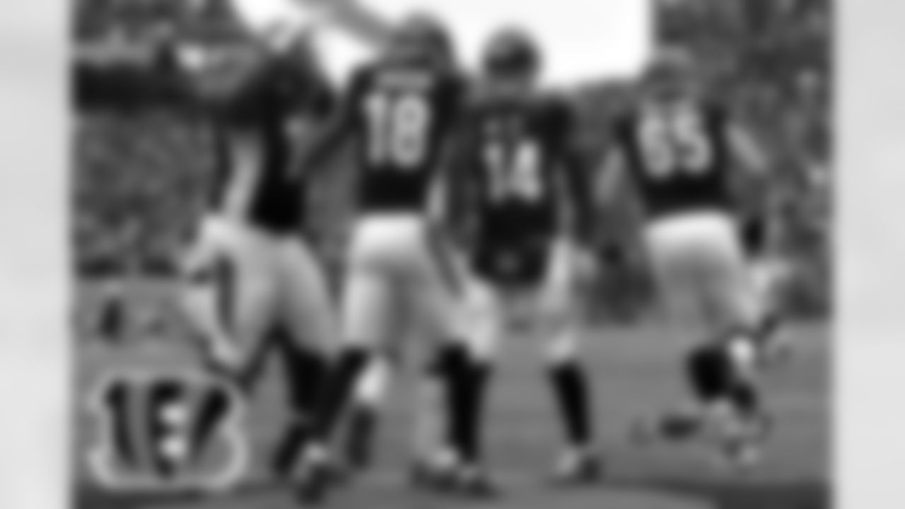 Cincinnati Bengals