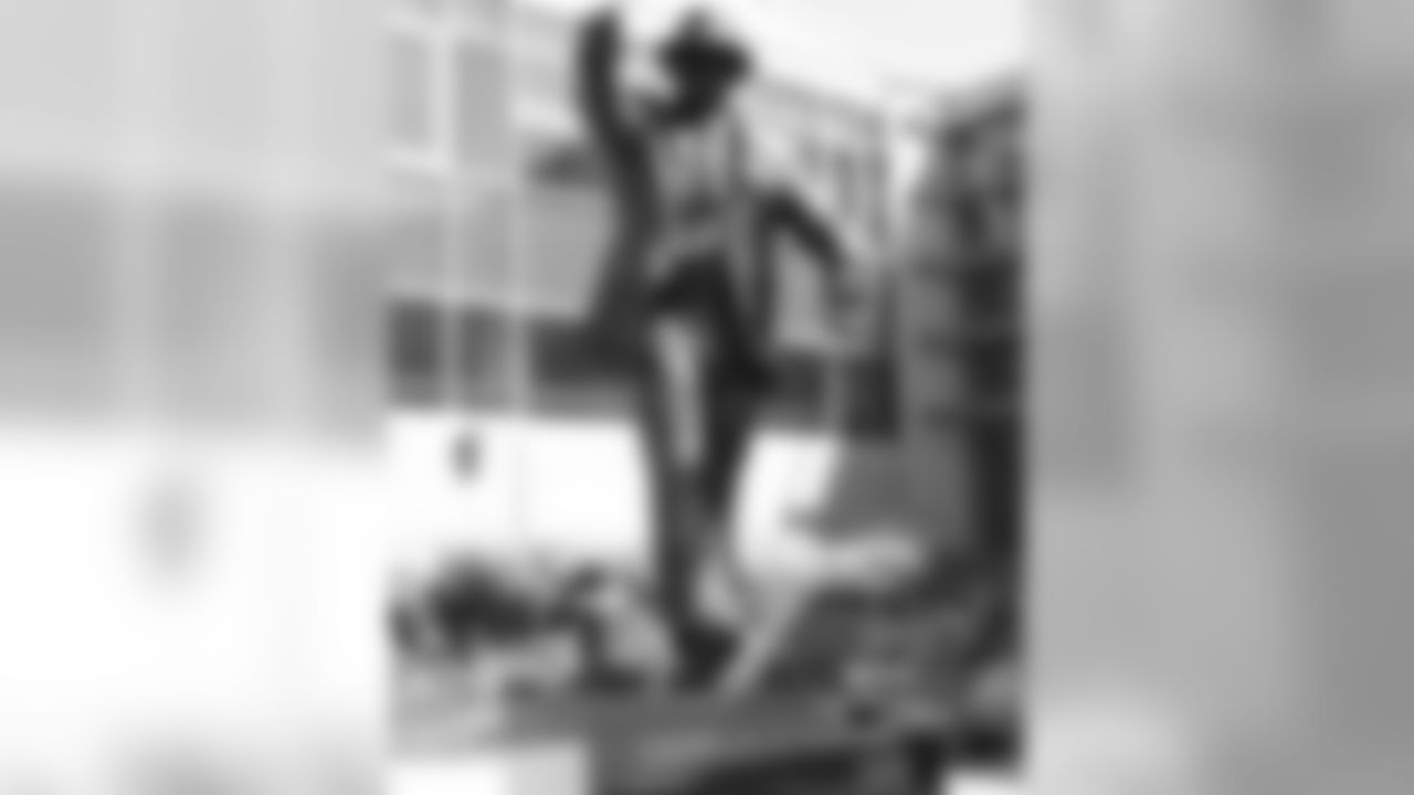 The George Halas statue immediately after being positioned.