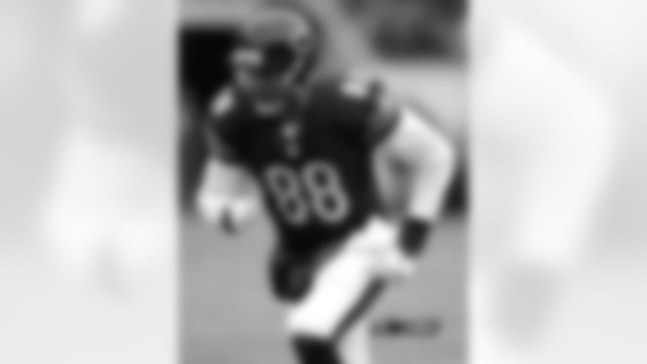 TE Rob Housler