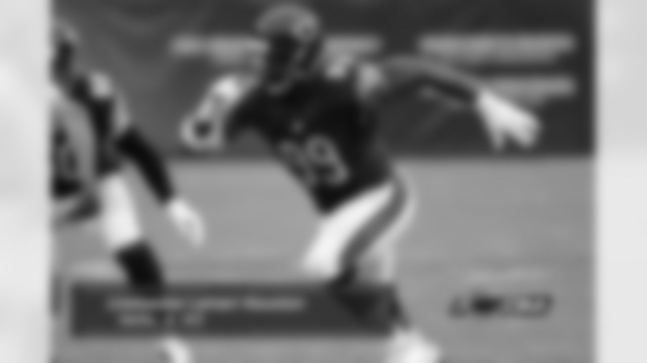 LB Lamarr Houston ended the year with the highest sack total of 8.0. LB Willie Young followed in second with 6.5.
