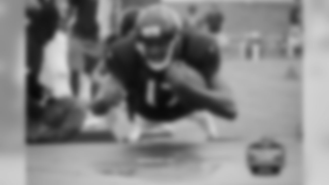 WR Alshon Jeffery