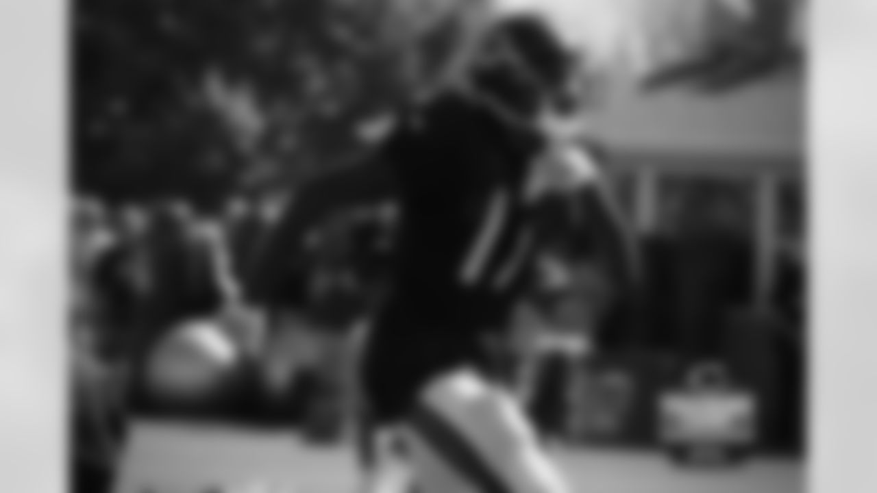 WR Alshon Jeffery