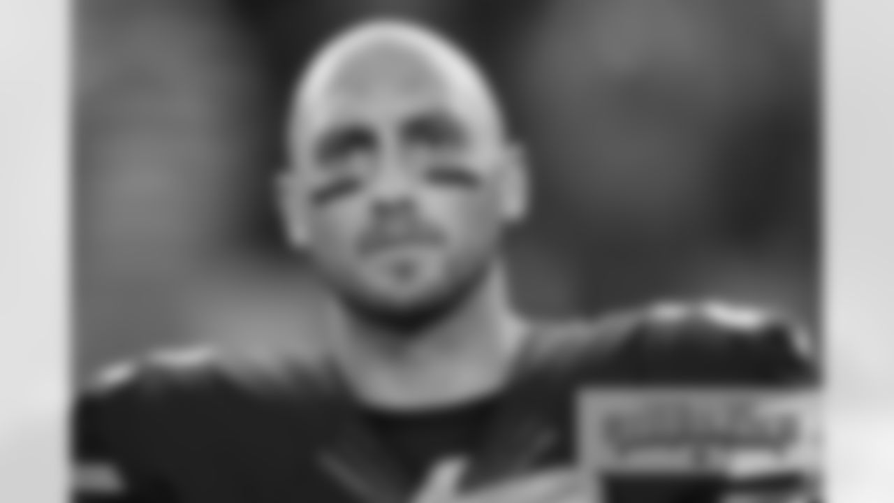 QB Brian Hoyer