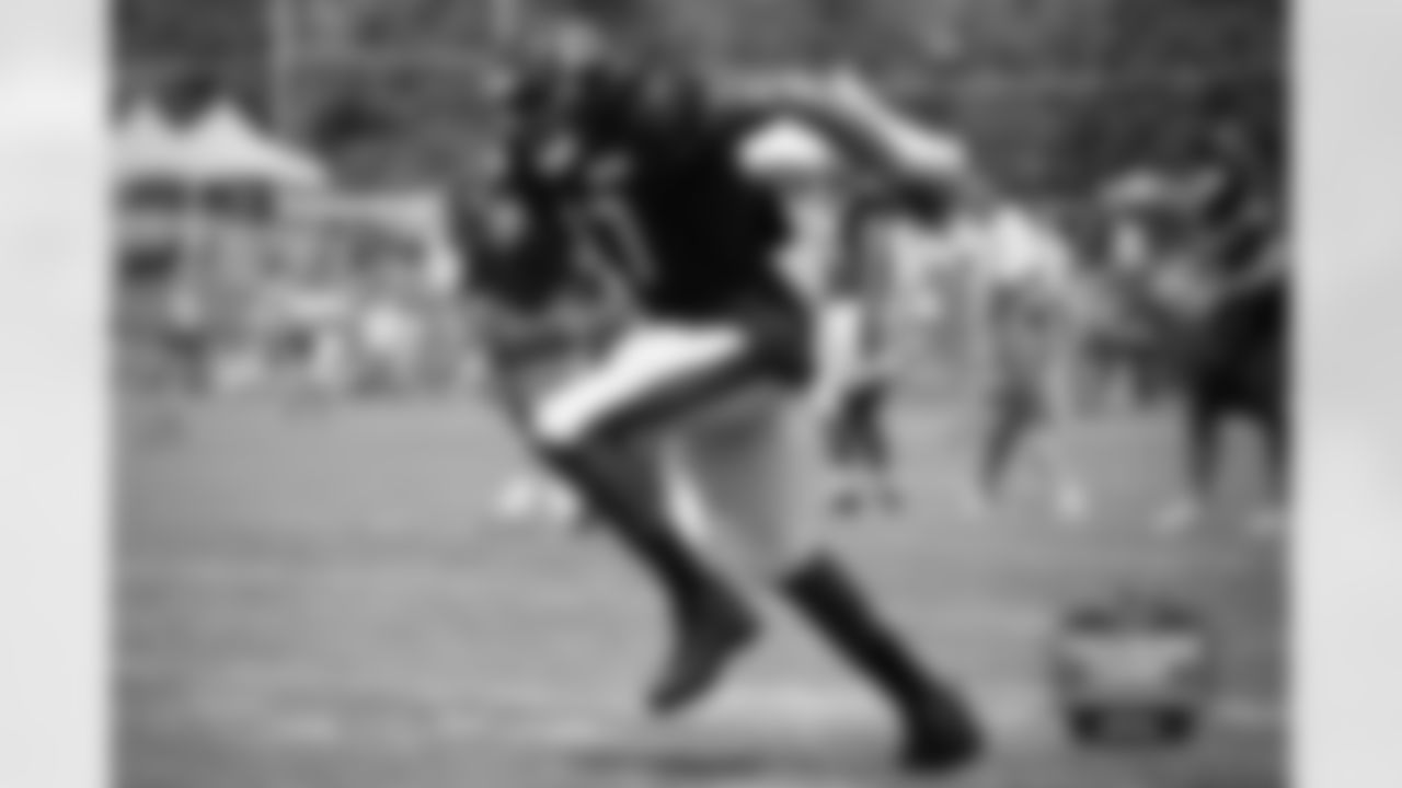 WR Alshon Jeffery