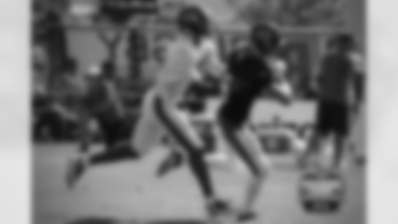 DB Sherrick McManis (27) and WR Marc Mariani (80).