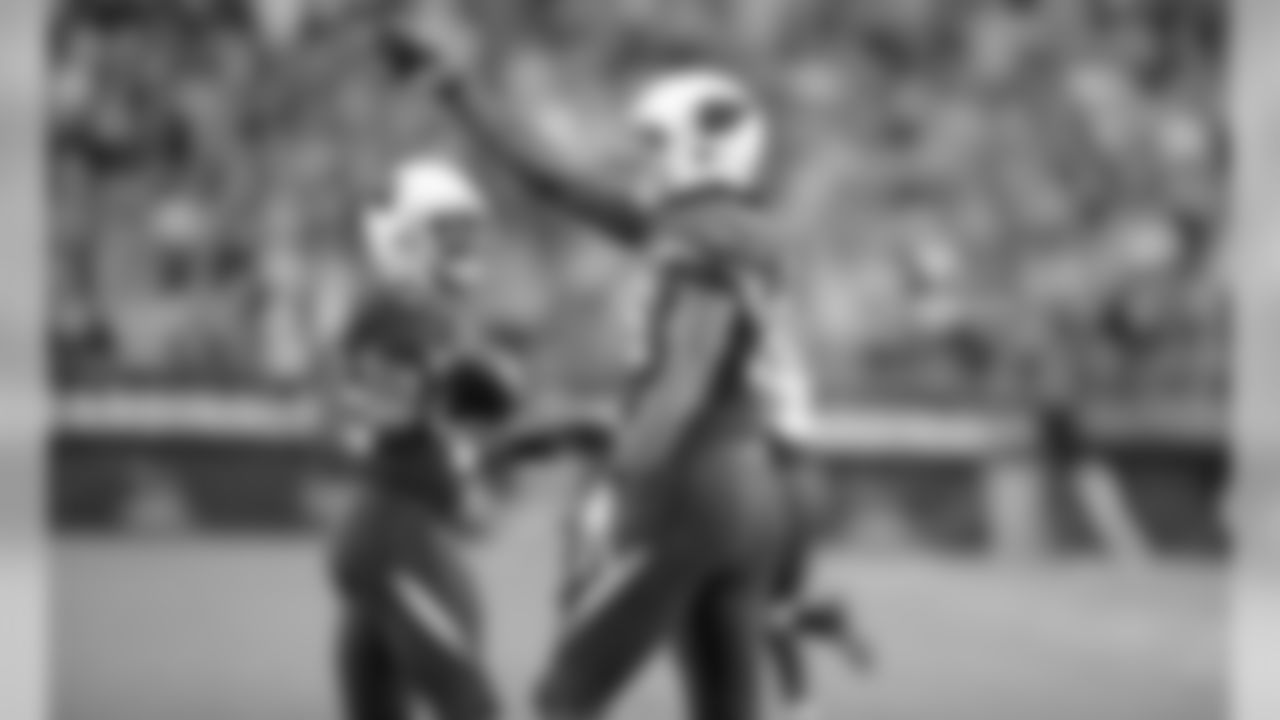 Arizona Cardinals (2013)
