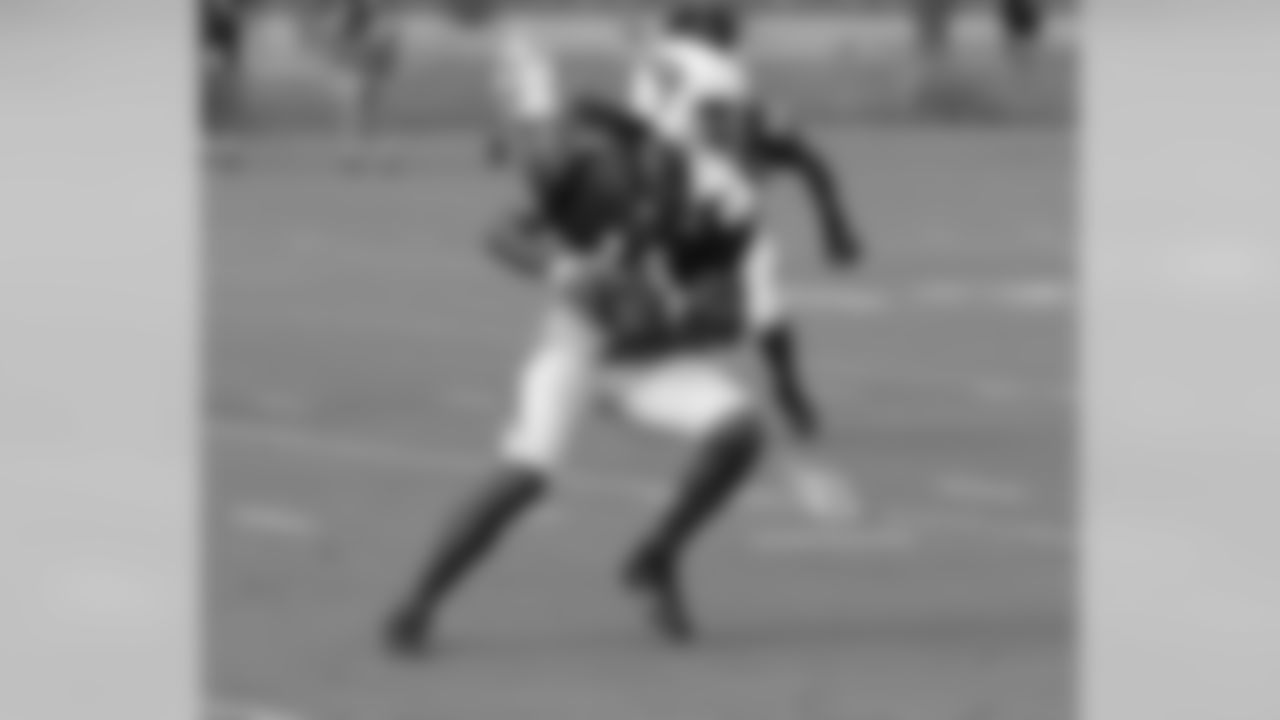 WR Larry Fitzgerald