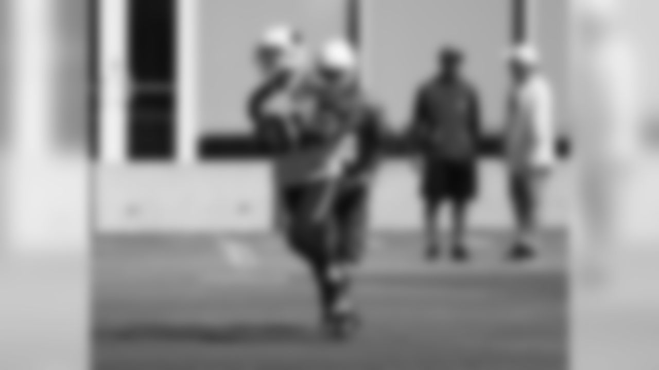 RB David Johnson
