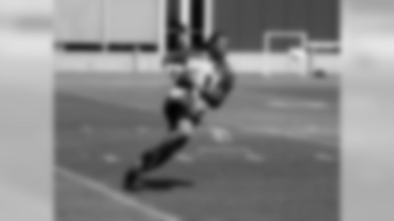 WR Larry Fitzgerald