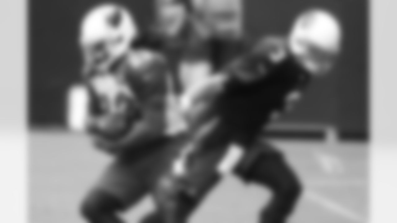 RB Chris Johnson takes a handoff from QB Carson Palmer
