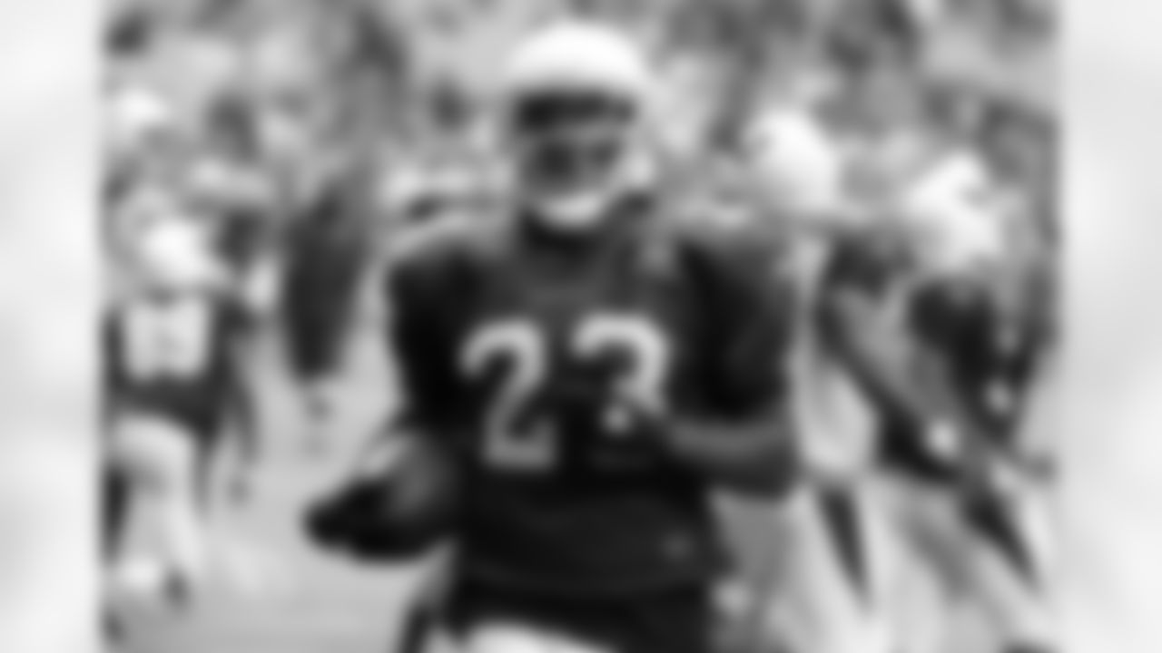 RB Chris Johnson scores a touchdown