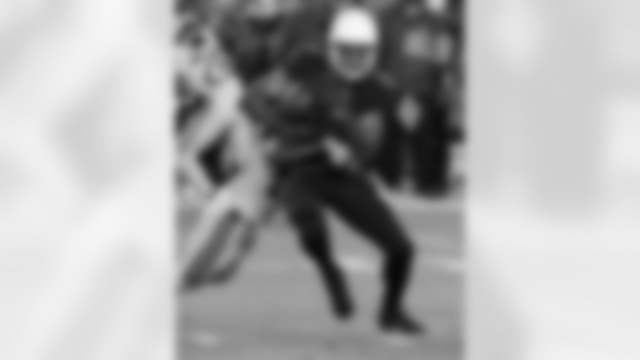 WR Larry Fitzgerald on the catch