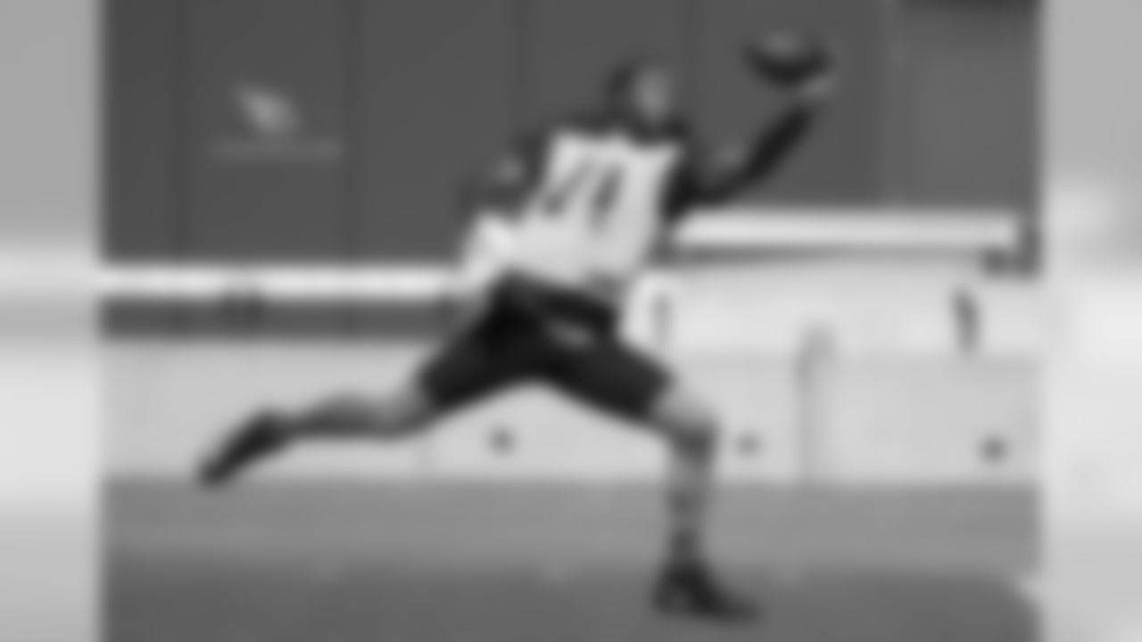 WR Larry Fitzgerald