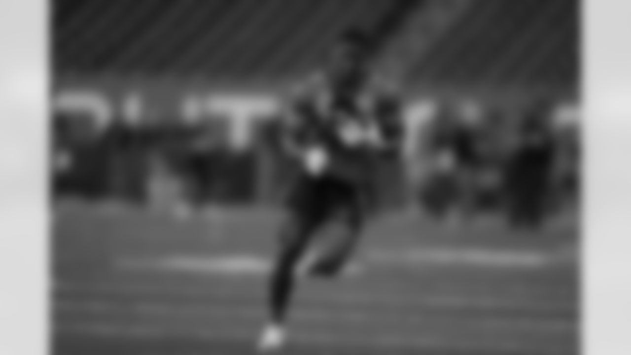 RB David Johnson