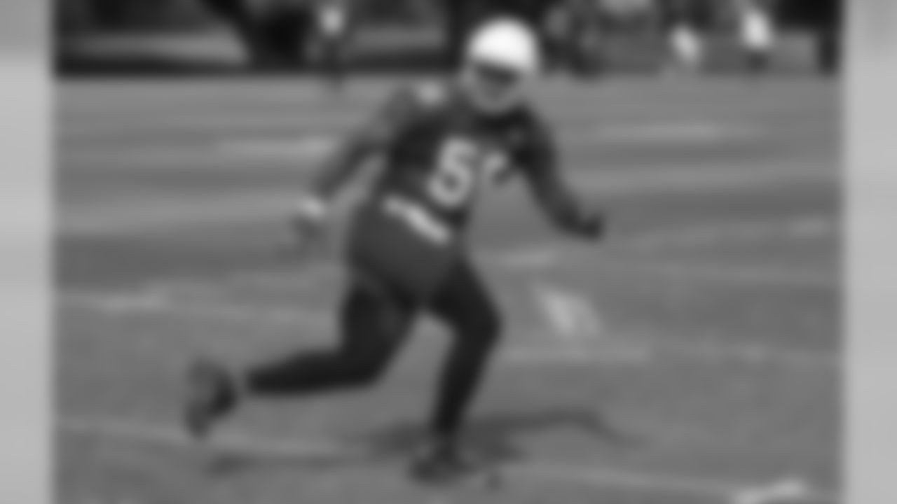 LB Karlos Dansby