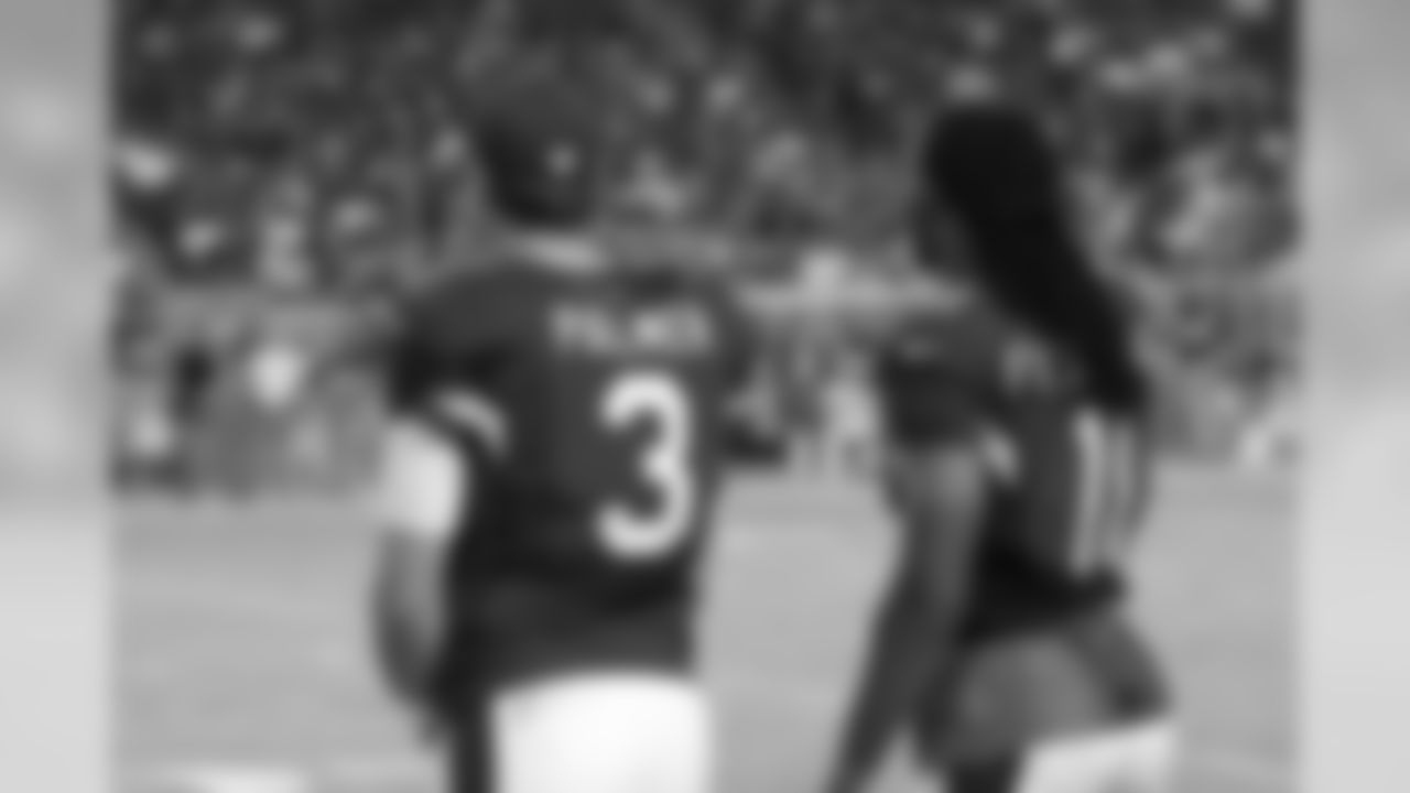 Palmer and Fitz during a preseason game against the Raiders