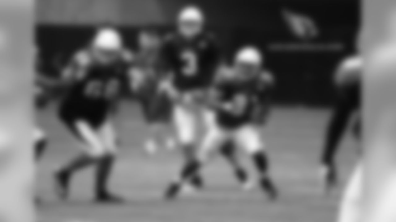 RB David Johnson