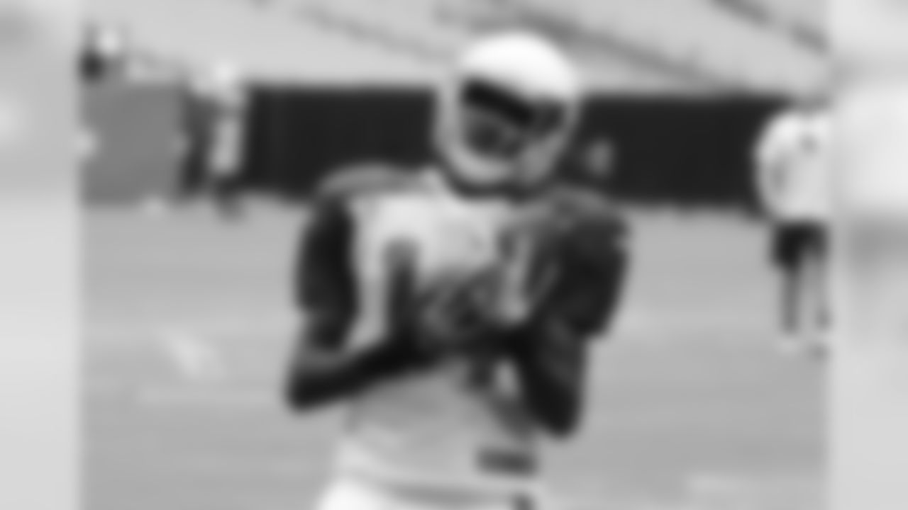 WR J.J. Nelson
