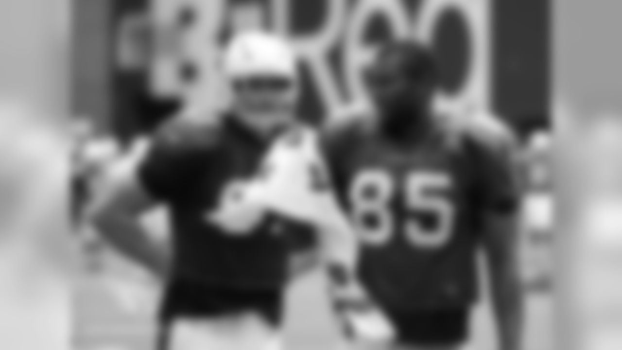 TEs Troy Niklas and Darren Fells