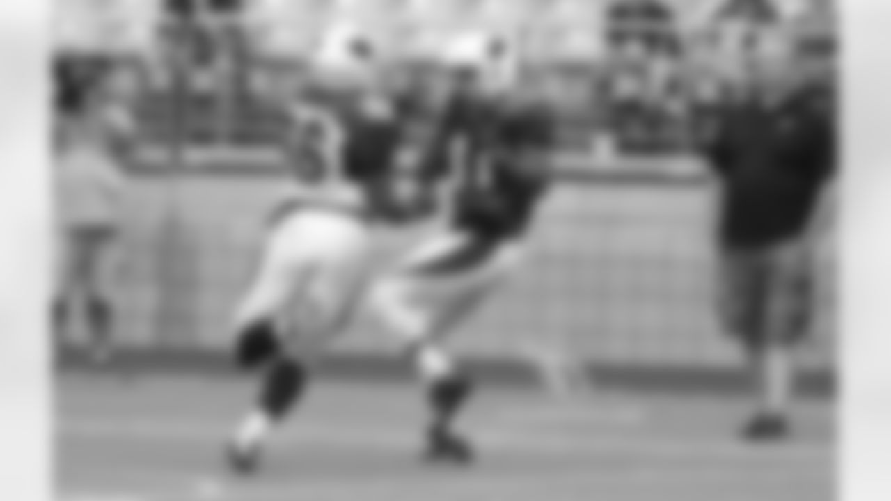 RB David Johnson with the TD catch