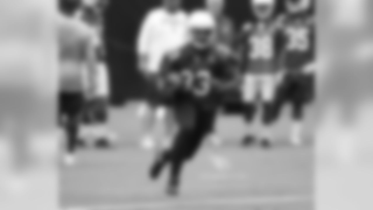 RB Kerwynn Williams