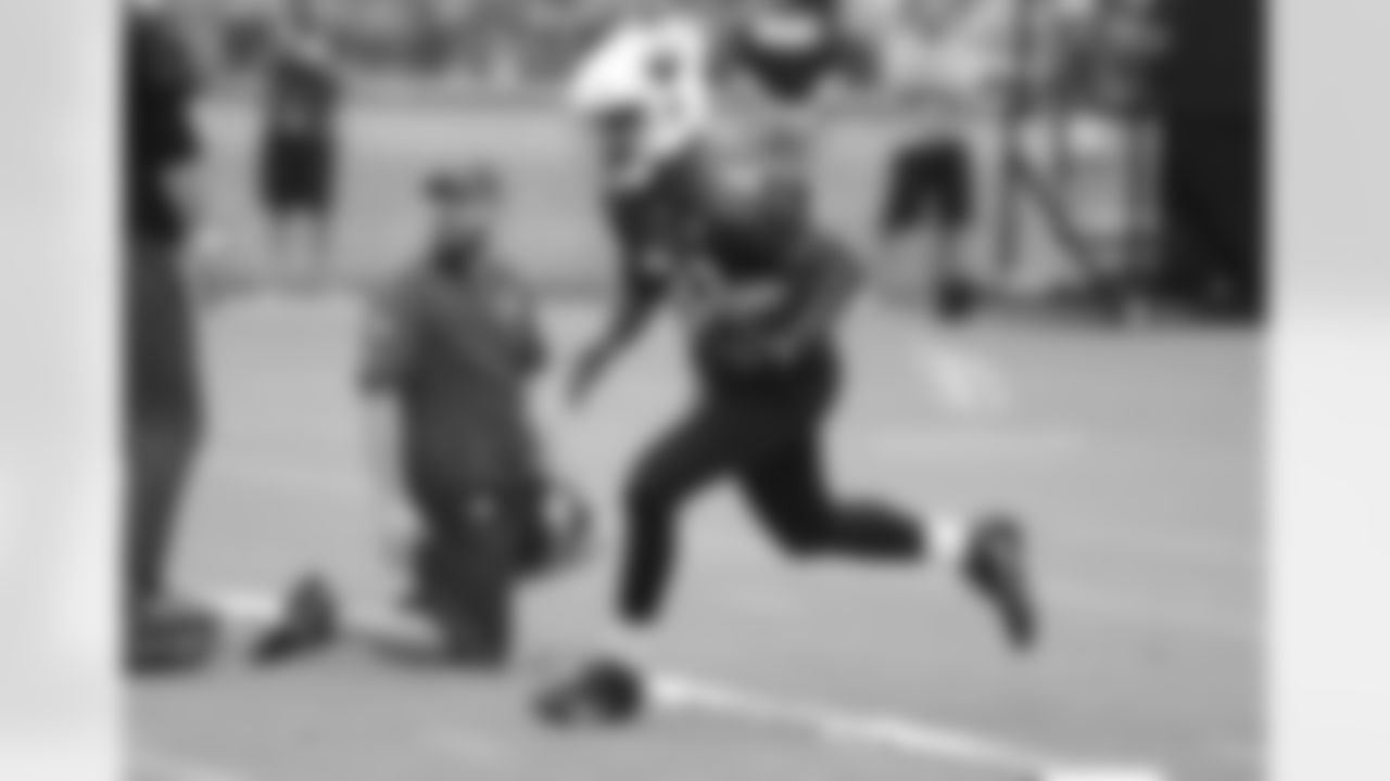 RB David Johnson