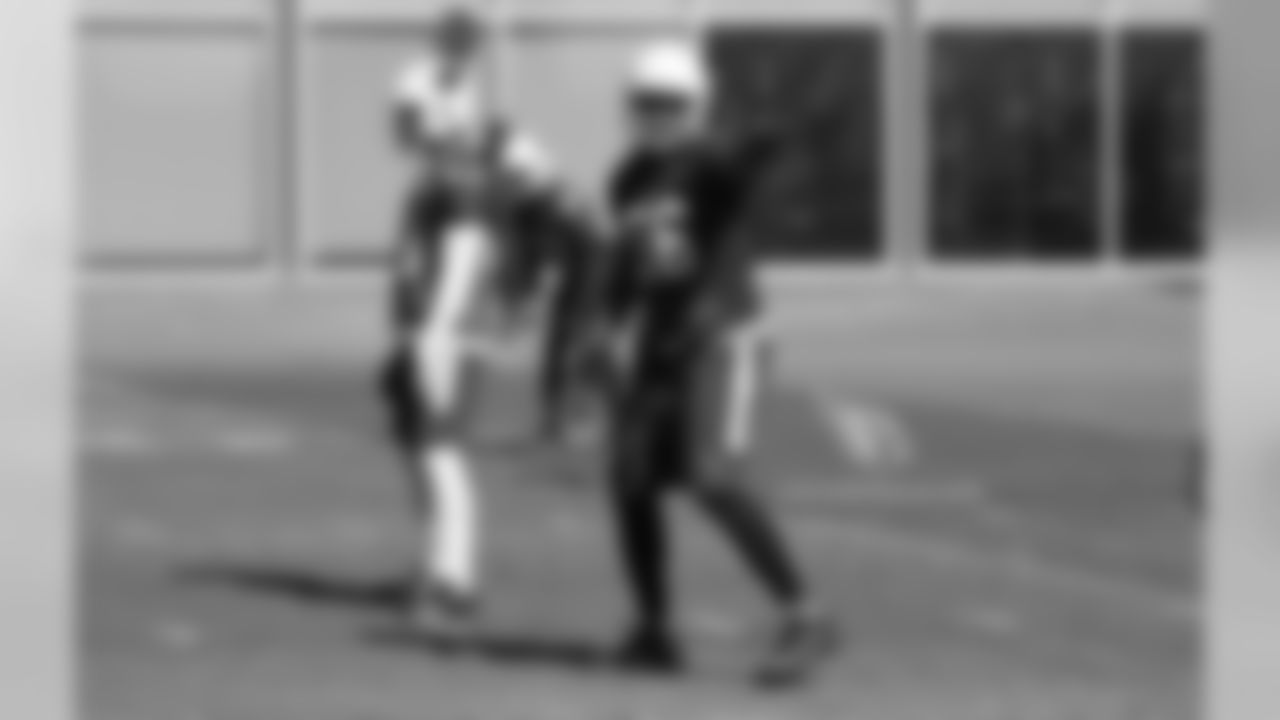 LB Karlos Dansby