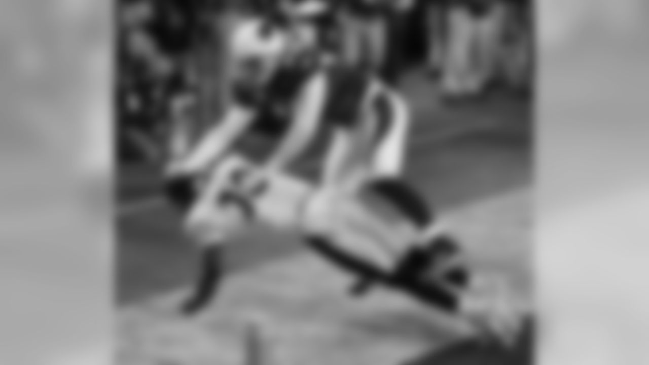 Steelers WR Santonio Holmes with the game-winning touchdown reception