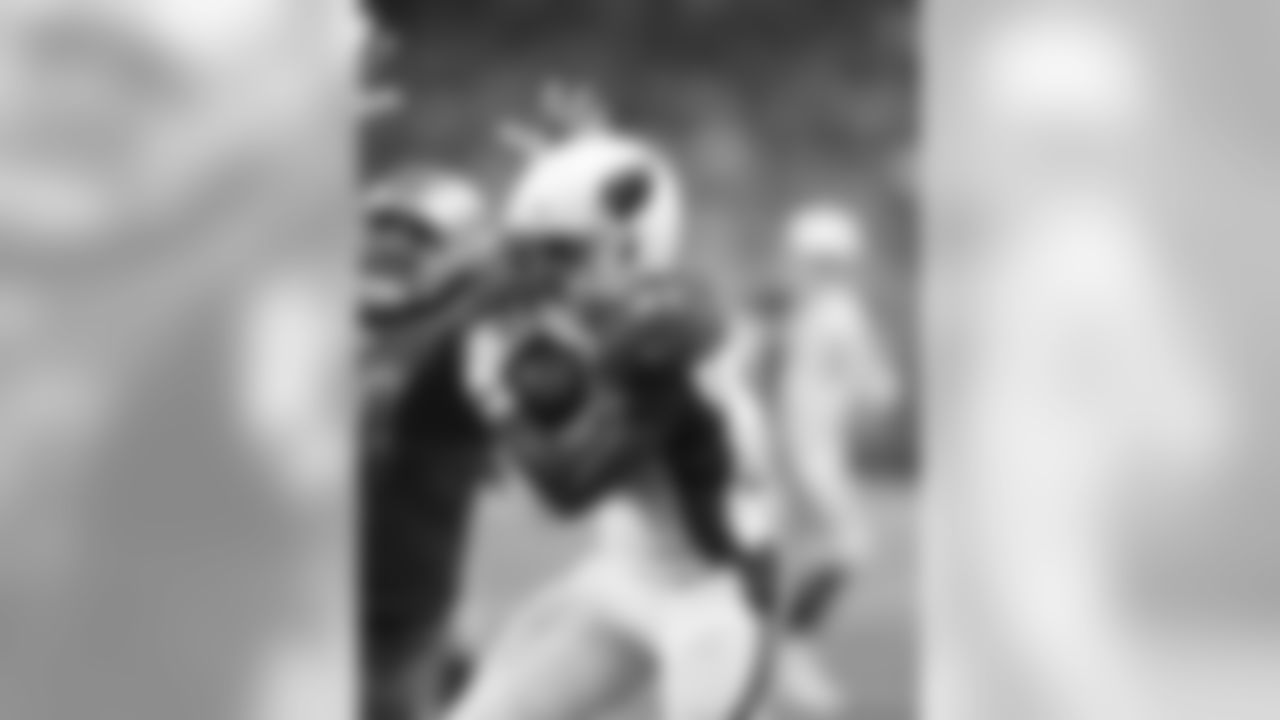 RB David Johnson: 6 catches for 67 yards