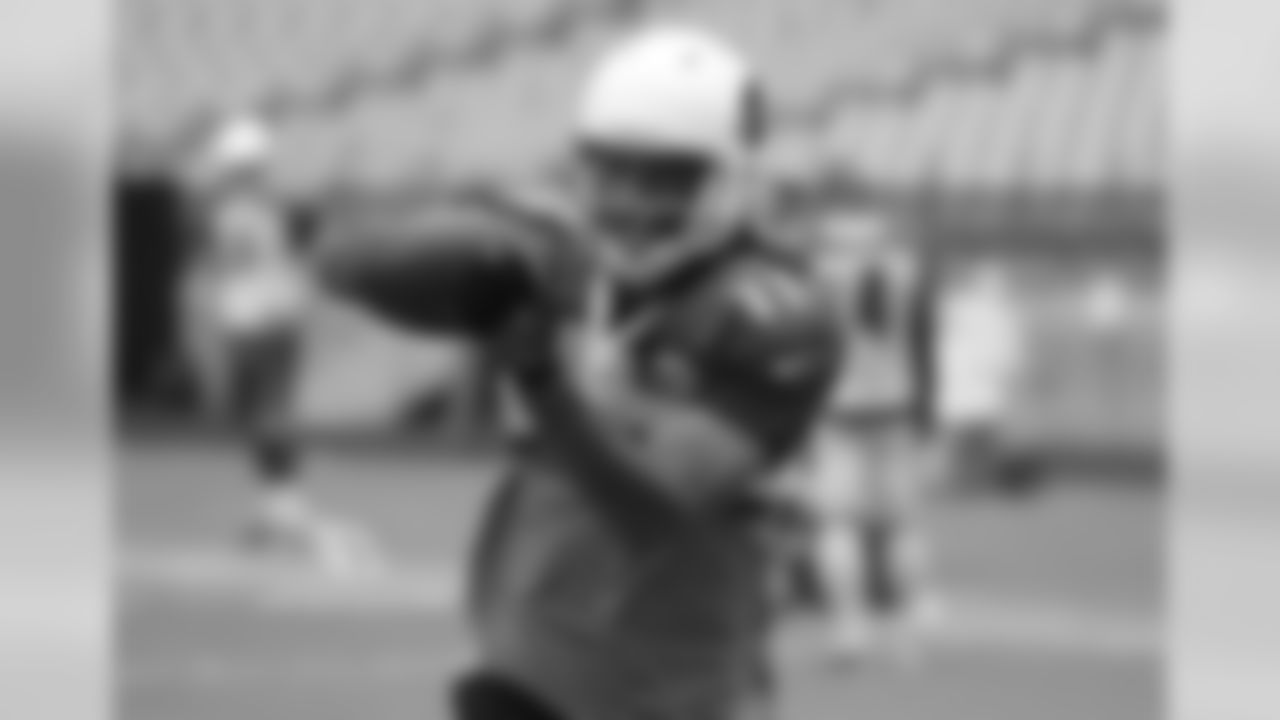 WR Larry Fitzgerald