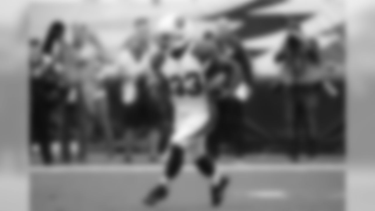 RB Kerwynn Williams