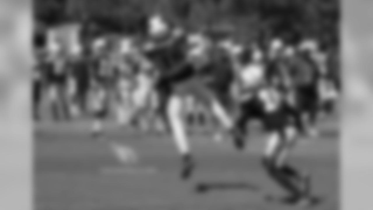 WR Michael Floyd
