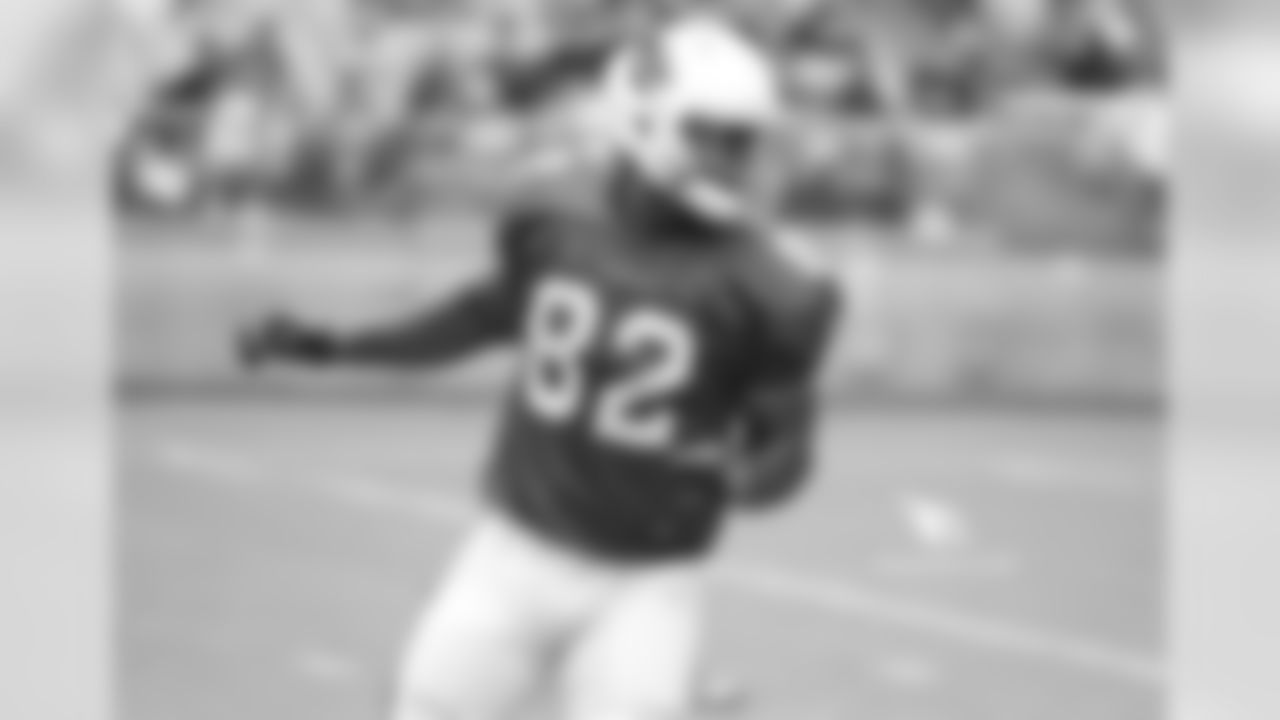 TE Gerald Christian