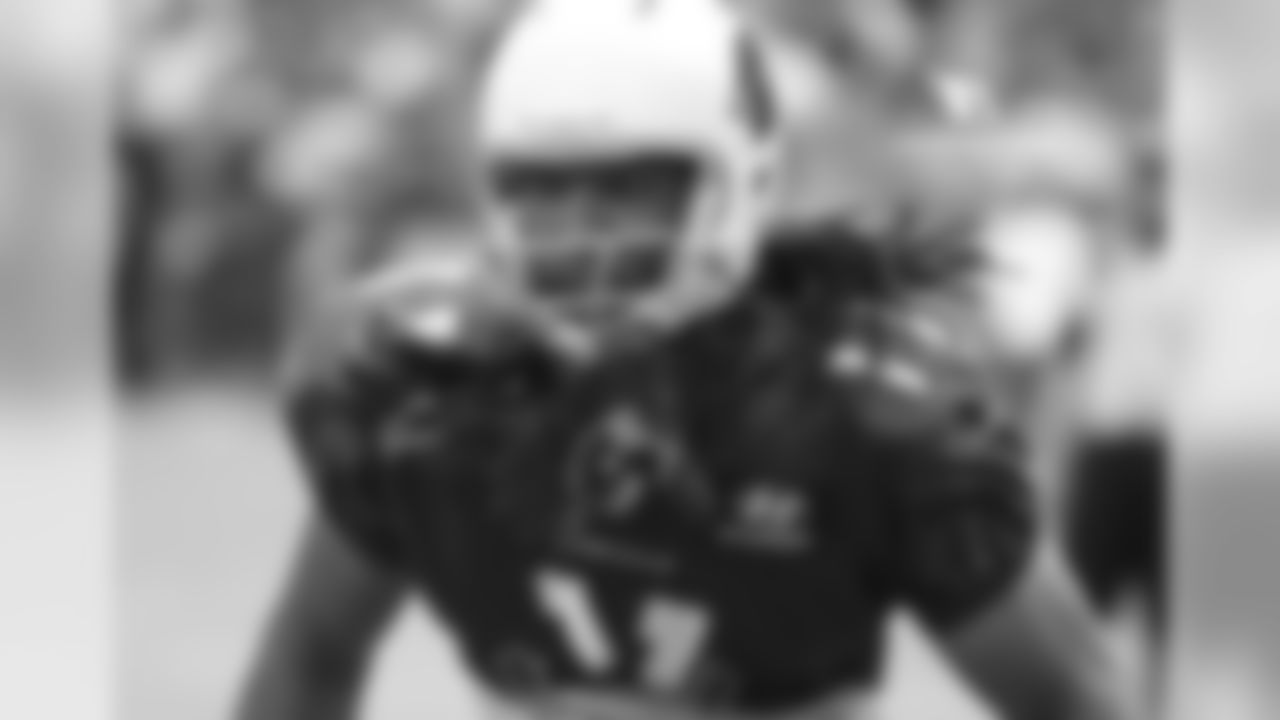 WR Larry Fitzgerald