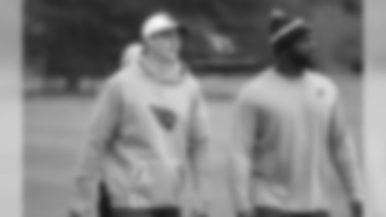 TE Troy Niklas and T Vinston Painter