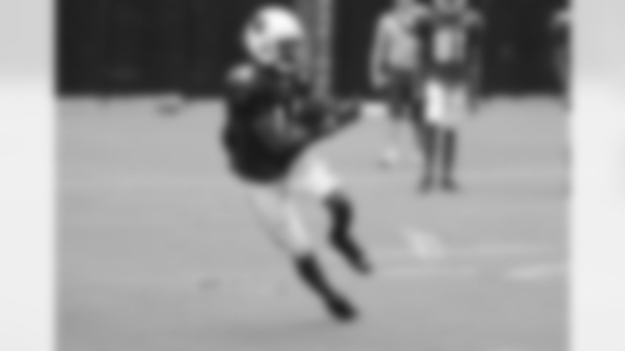 WR J.J. Nelson
