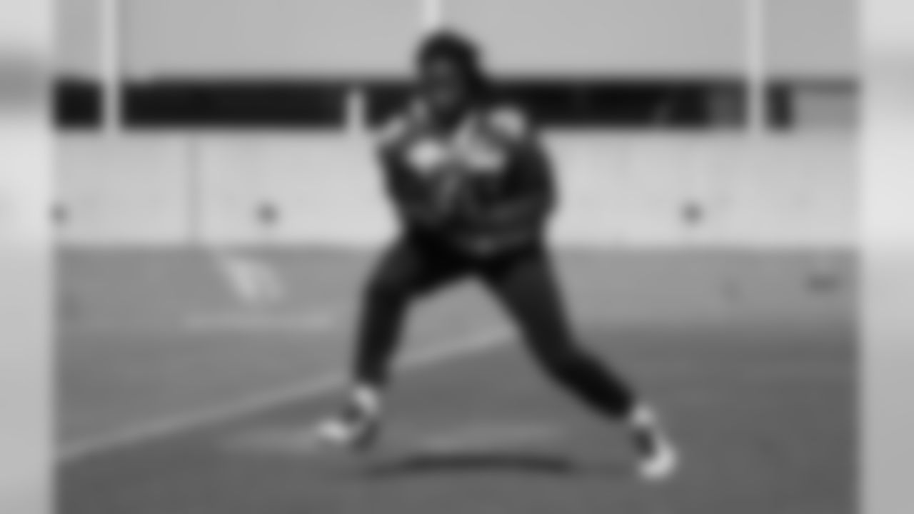 WR Andre Ellington