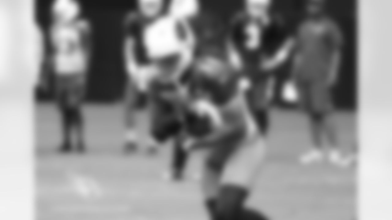 WR Larry Fitzgerald