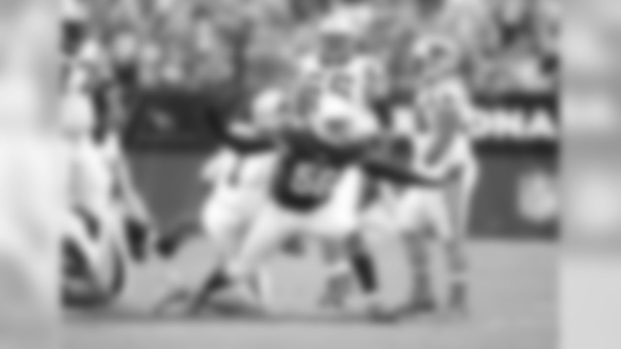 Arizona Cardinals (2013)