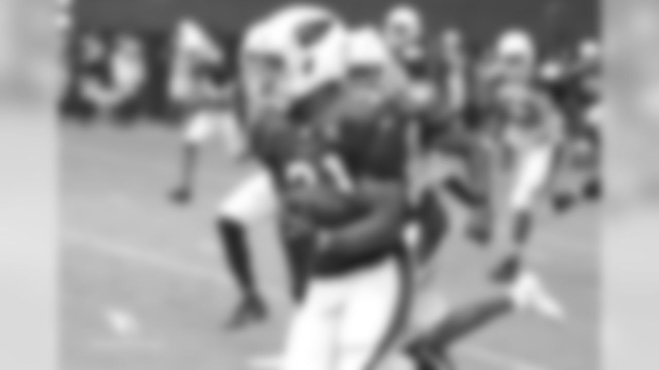 RB David Johnson breaks loose for a long gain
