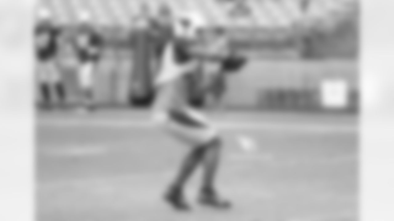 WR Larry Fitzgerald