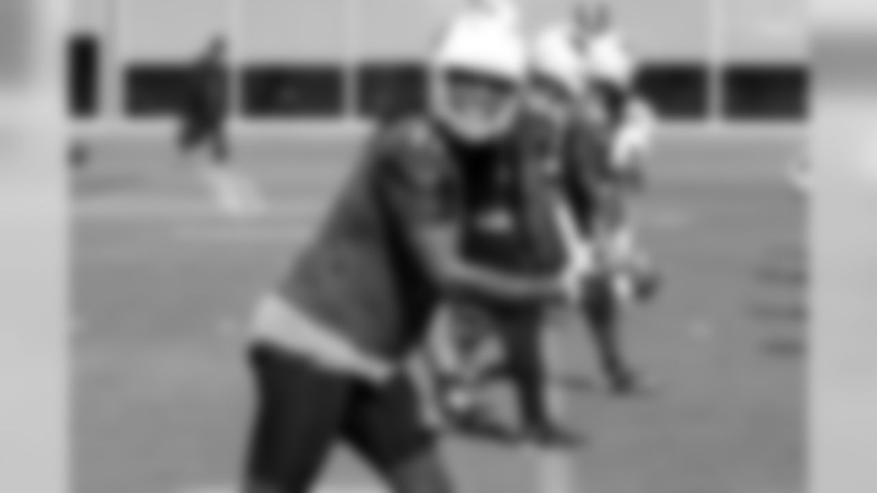 WR Larry Fitzgerald
