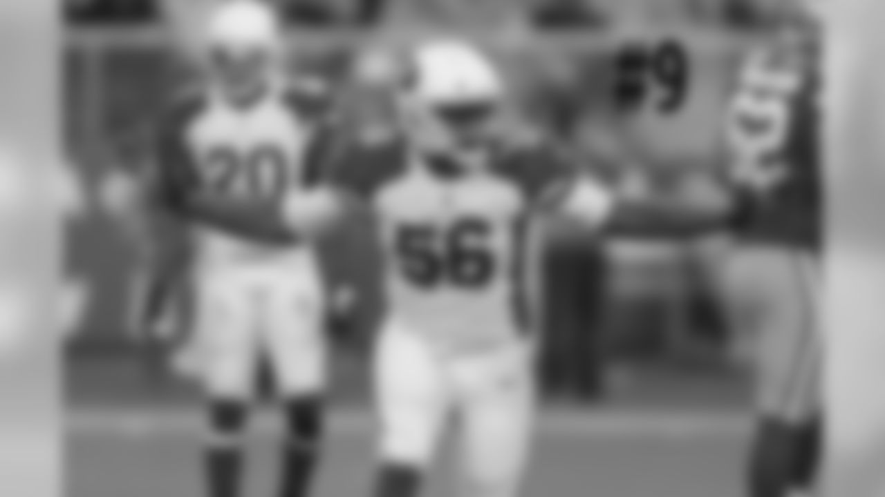 LB Karlos Dansby celebrates a sack