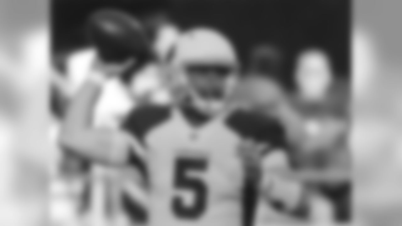 Cardinals QB Drew Stanton looks to throw