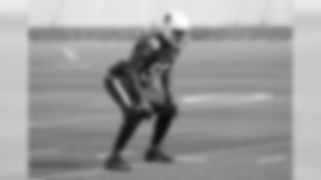 LB Karlos Dansby