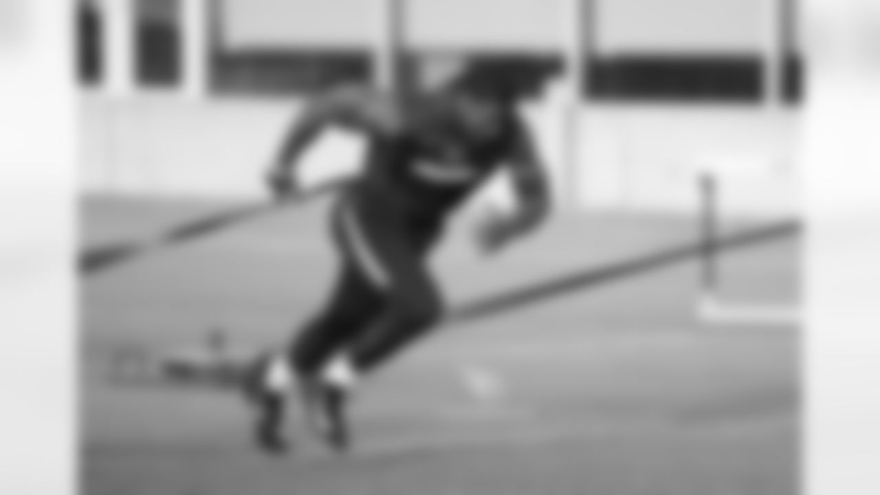 RB David Johnson