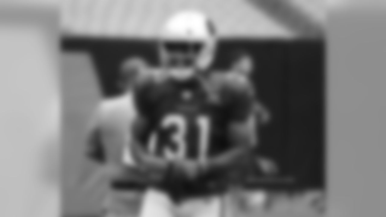 RB David Johnson