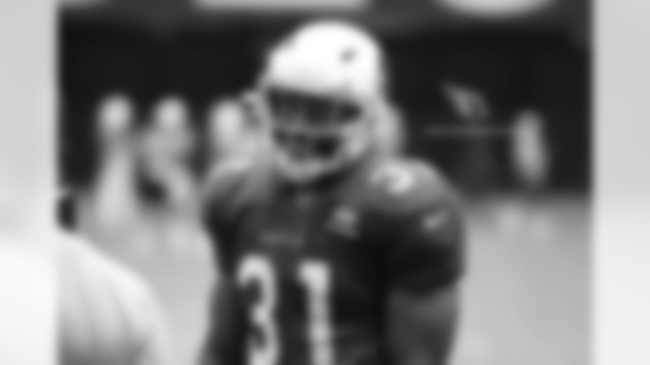RB David Johnson